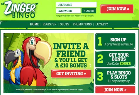 Zinger bingo casino review